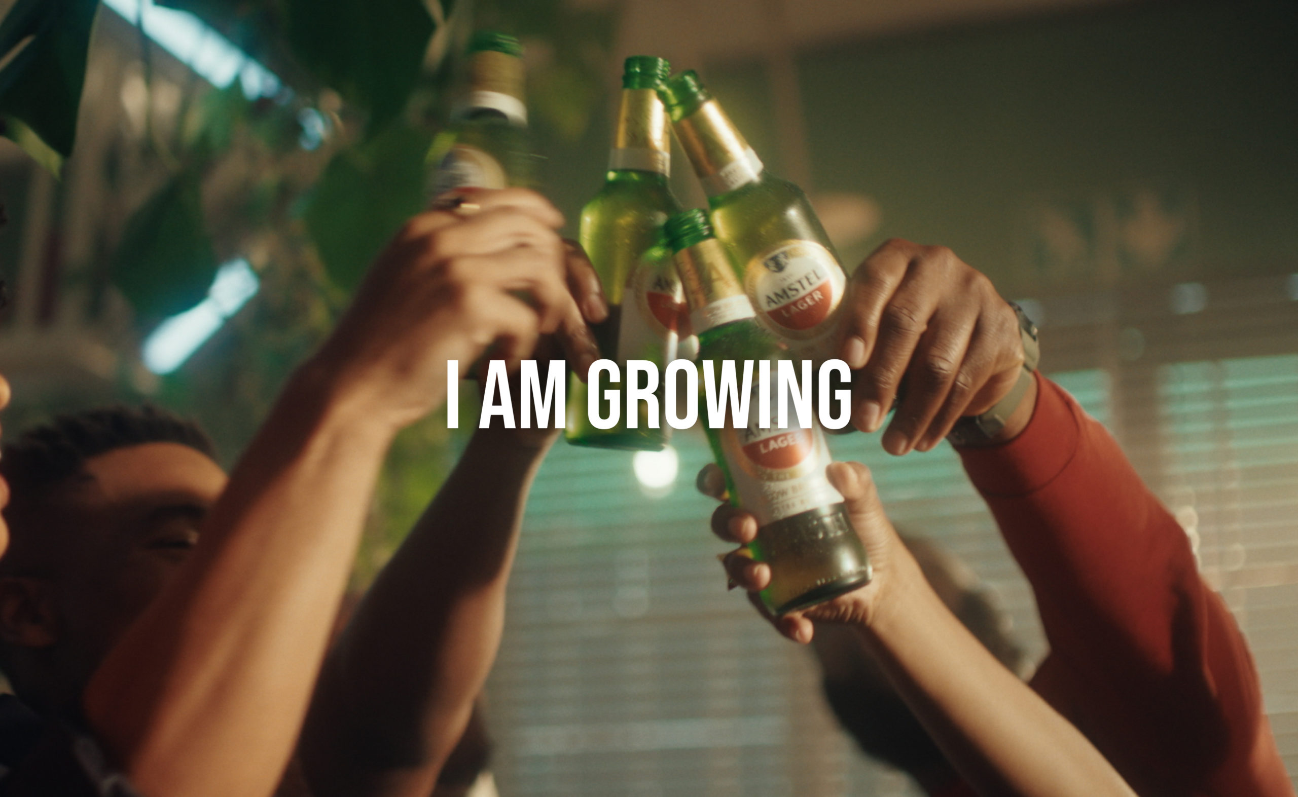 Amstel - I am growing